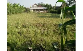 Dana pembangunan kuti Vihara Tri Dhamma Loka Grobogan