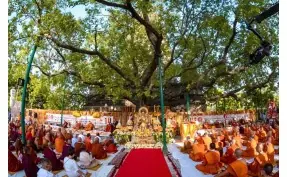 Dana Makan kepada 6.000 Peserta Tipitaka Chanting di India