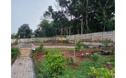 Dana Bangun Tempat Meditasi Hutan di Kampung Barengkok