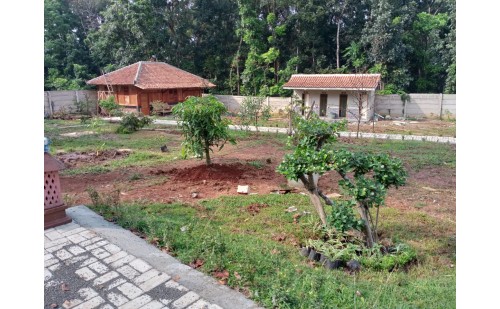 Dana Bangun Tempat Meditasi Hutan di Kampung Barengkok